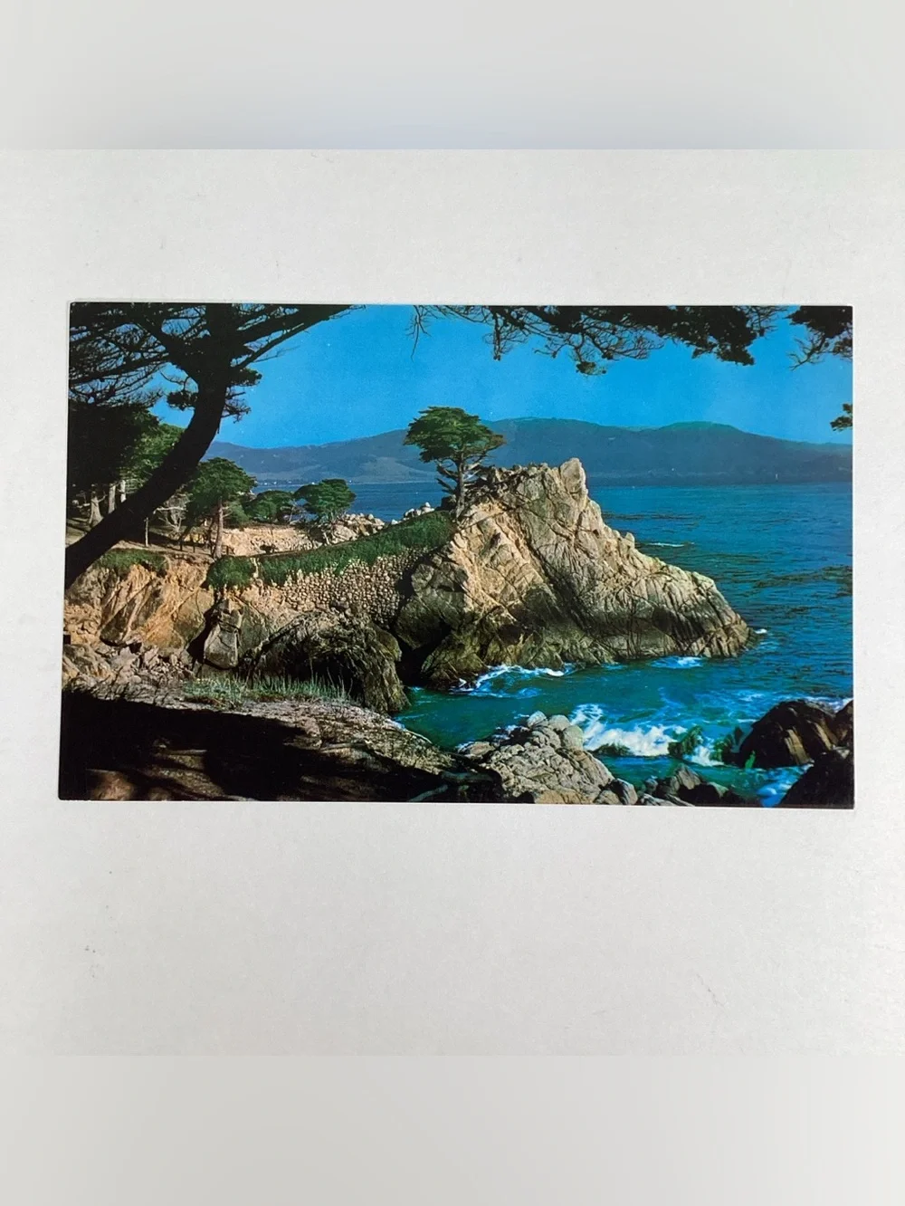 RPPC Monterey & Carmel Bay CA, Ghost Tree, Golf, Cypress, Lamplighters Postcard